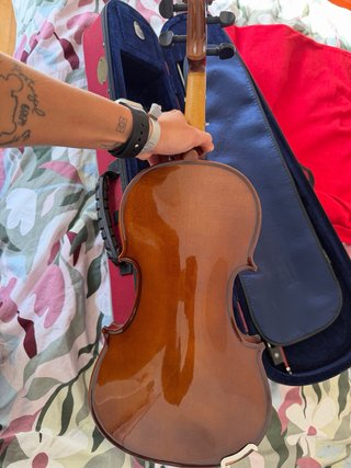 Violin Stentor