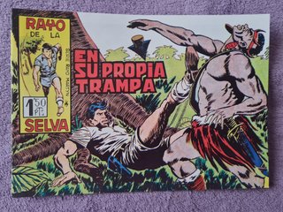 Colección tebeos El rayo de la selva, completa