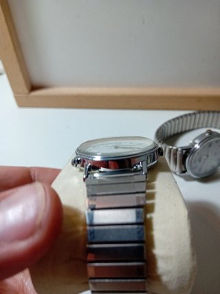 Orologio Timex Indiglo Argento e Bianco