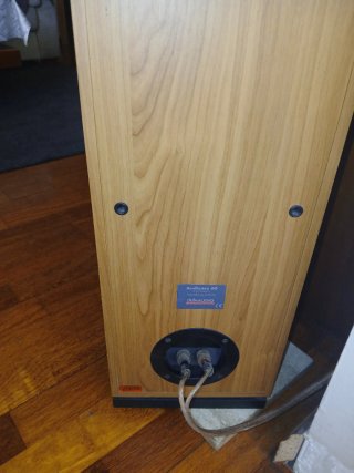 Altavoces Dynaudio High End Sonido danés