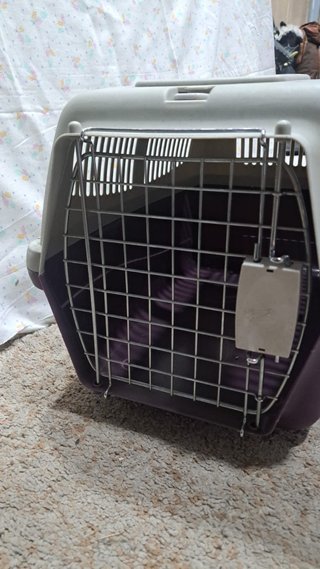 Transportín para gatos gris y morado