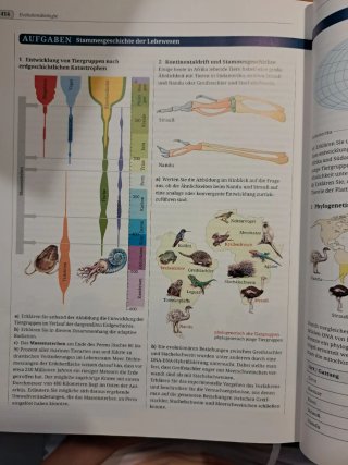Biologie heute SII