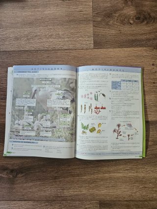Libro de texto Ciencias de la Naturaleza 2 ESO, Sm