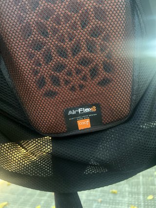 Peto protector Scott