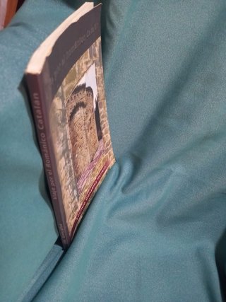 Libro Viaje por el románico catalán