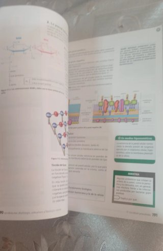 Libro Biología  2°Bachillerato Oxford