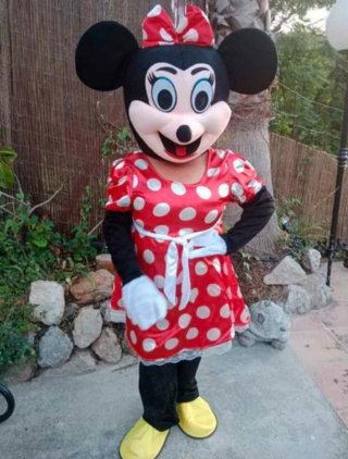 Animacion infantil