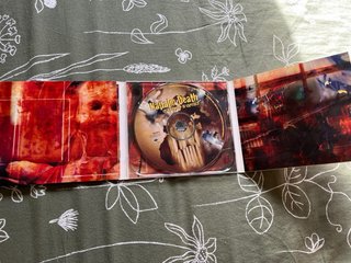 Napalm Death Punishment in Capitals CD