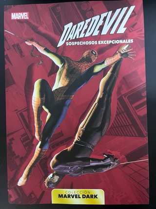 Surtido de cómics y manga