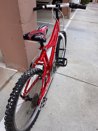 Bicicleta infantil roja 20