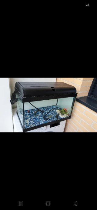 Pecera 50L Negra y Transparente