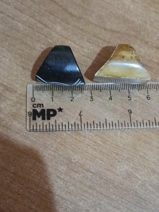 2 Anillos Vintage Hueso Tallado