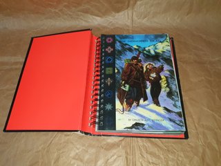 Lote de Juegos de Rol o suplementos