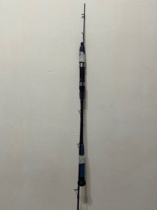 Caña de pescar DAIWA