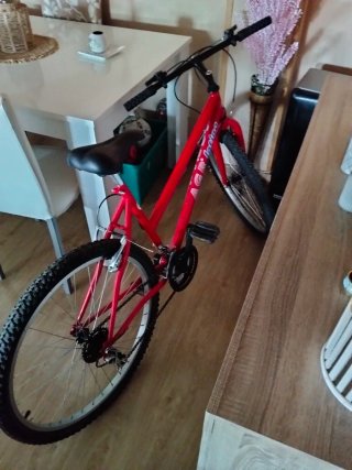 Bicicleta Roja Montaña