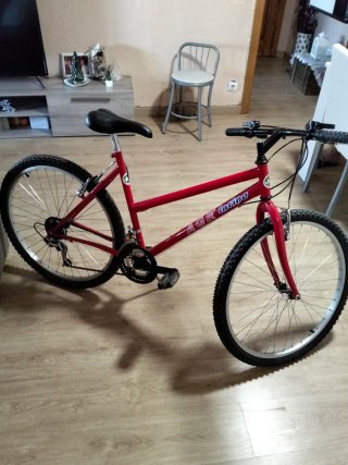 Bicicleta Roja Montaña