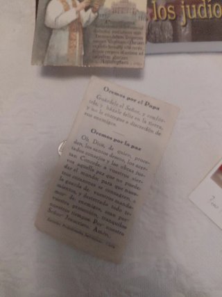 Pío XII defensor de los judíos?