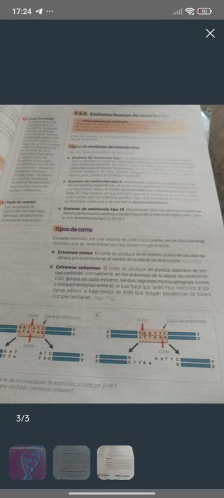 Fisiopatología general y biología molecular