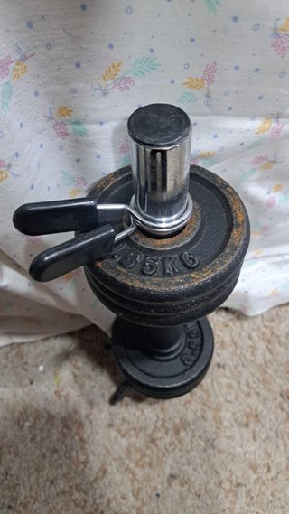 Mancuerna 6 pesas 0.55kg c/u