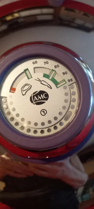 Padella Wok AMC cm.28 con termometro