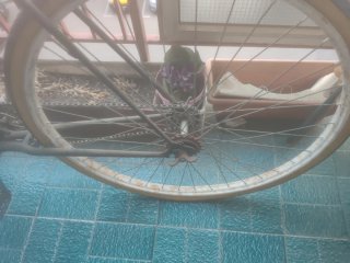 Bicicleta para restaurar