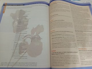 Vendo libro de lengua y literatura 1 bachillerato