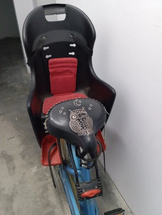 Bicicleta Electra con sillón infantil