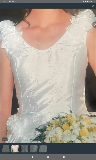 Vestido de Novia Seda Salvaje