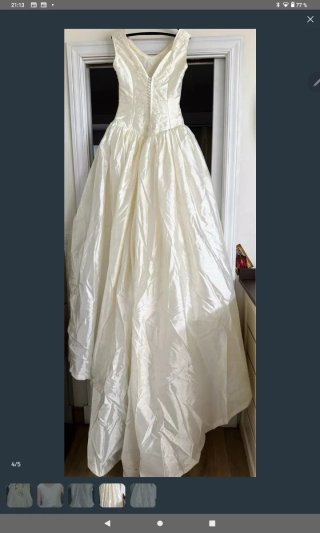 Vestido de Novia Seda Salvaje