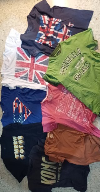 Lote 8 Camisetas y Pantalón Corto Verano
