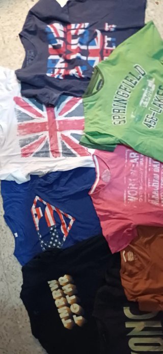 Lote 8 Camisetas y Pantalón Corto Verano