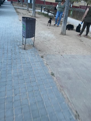 Paseo perros