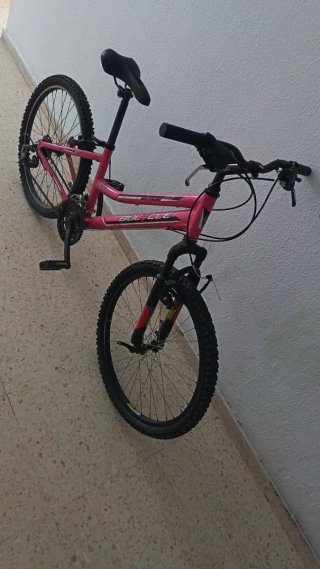 Bicicleta Niña Rosa