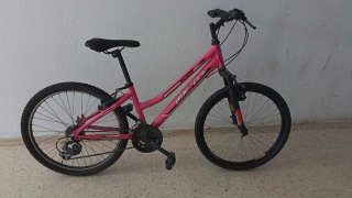 Bicicleta Niña Rosa