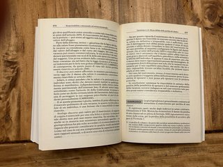 Pareri Motivati Di Diritto Civile / Il Procuratore