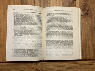 Pareri Motivati Di Diritto Civile / Il Procuratore