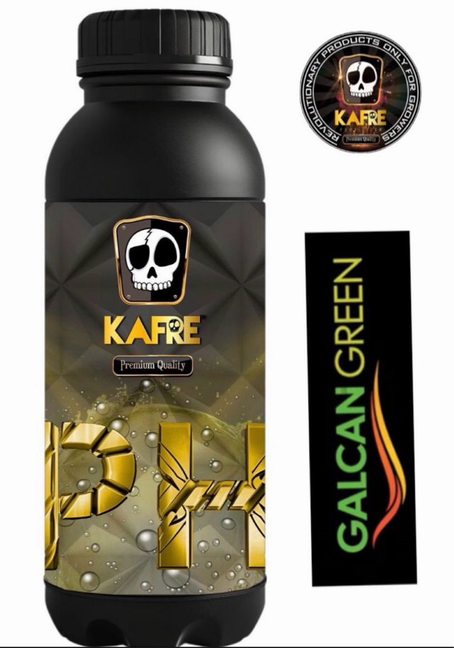 Foco LED 720W ELUXE  Galcan Green 667433427