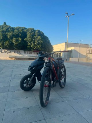 Bicicleta C100