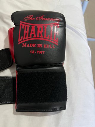 Guantes de Boxeo Charlie The Insane