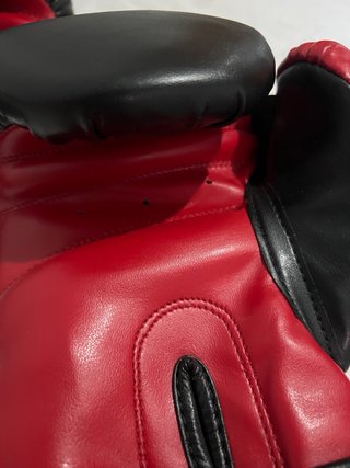 Guantes de Boxeo Charlie The Insane