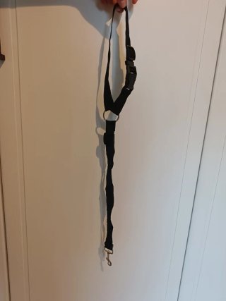 Silla para el coche - Perro Pequeño/Mediano
