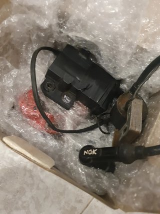 Rotor Selettra ItalKit P3356E