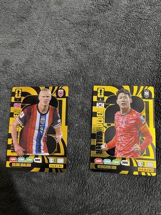 Cromos Panini Mundial Erling Haaland Son