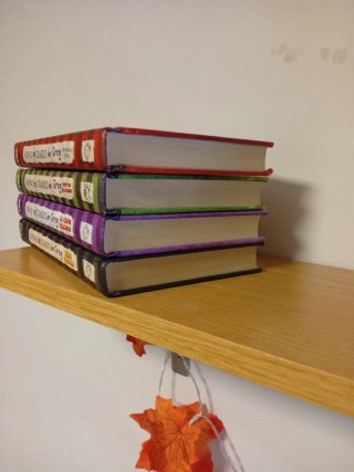 Lote libros diario de Greg 1,3,5,10