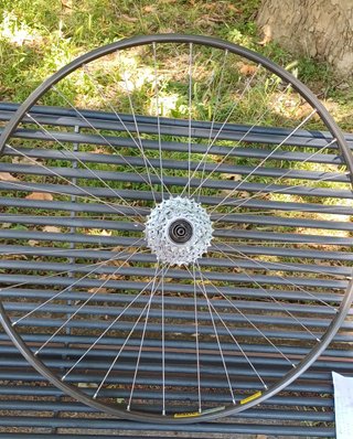 Ruota Posteriore Mavic x Tubolare 28 "