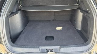 BYD Seal Comfort
