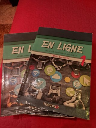 Lote libros 1 bachiller ciencias social salesianos