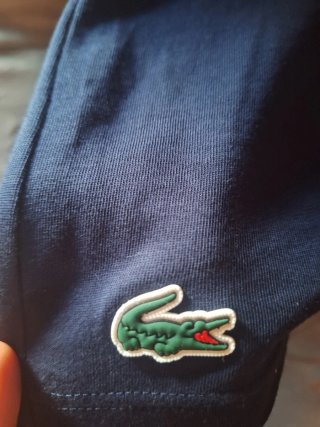 Camiseta lacoste