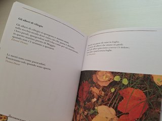 Libro / Libretto Piccolo breviario da comodino