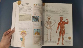 Ciencias de la Naturaleza 4°. Anaya